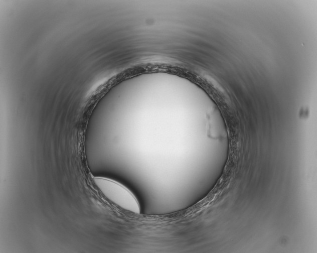 X0000091310775200708101108