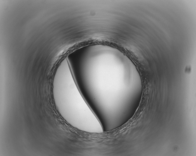 X0000091310776200708101108