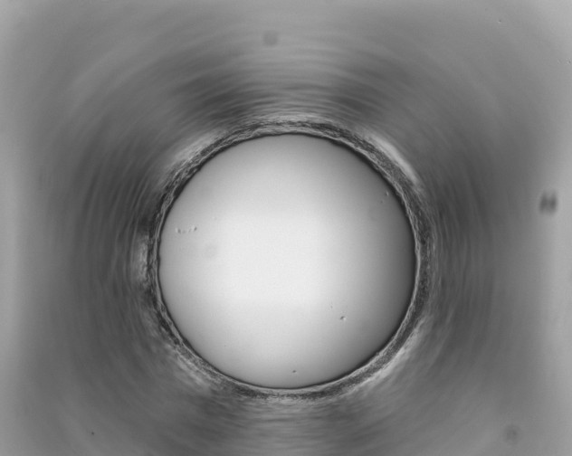 X0000091310777200708101108