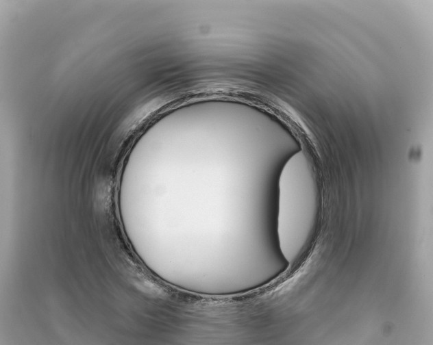 X0000091310778200708101108