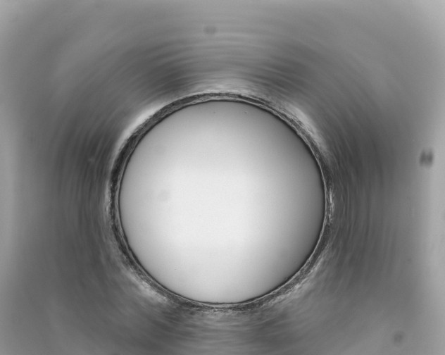 X0000091310780200708101108