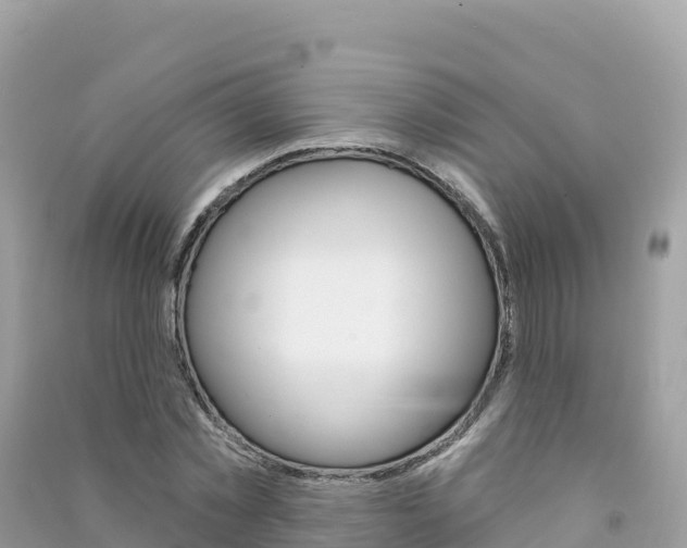 X0000091310781200708101108