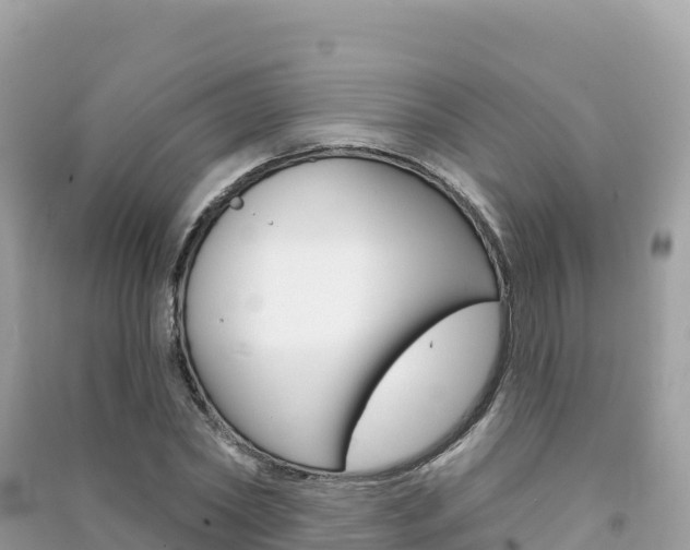 X0000091310782200708101108