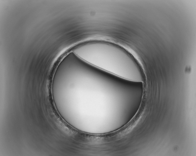 X0000091310783200708101108