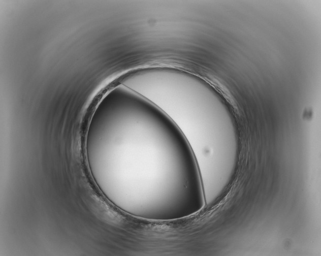 X0000091310784200708101108