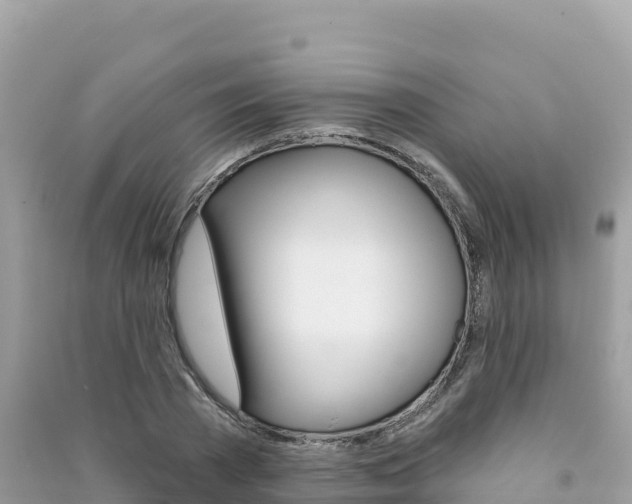 X0000091310785200708101108