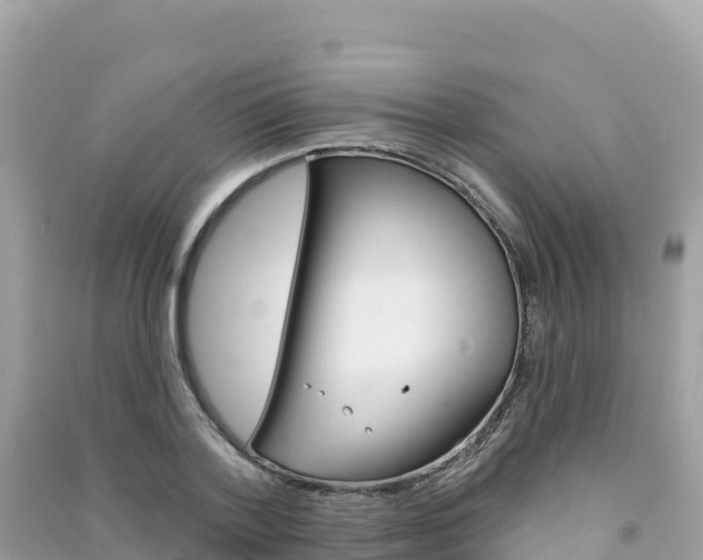 X0000091310788200708101108