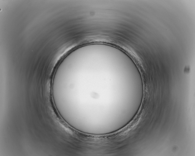 X0000091310790200708101108