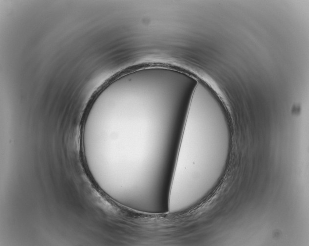 X0000091310791200708101108