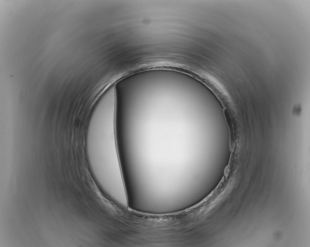 X0000091310793200708101108