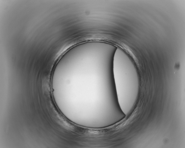 X0000091310794200708101108