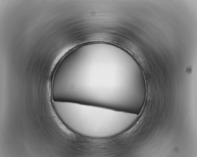 X0000091310796200708101108