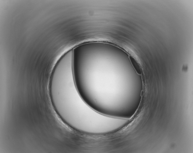 X0000091310797200708101108