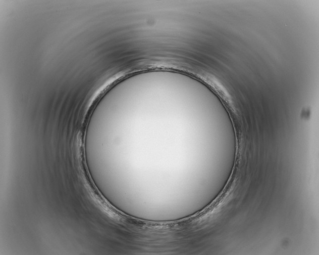 X0000091310798200708101108