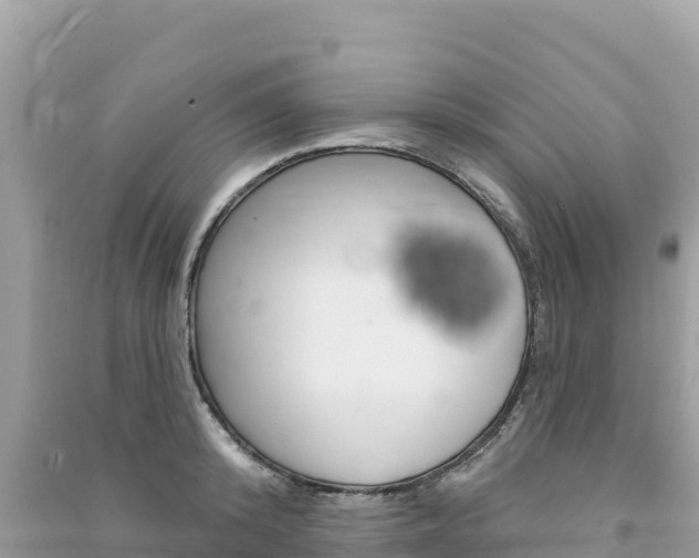 X0000091310800200708101108