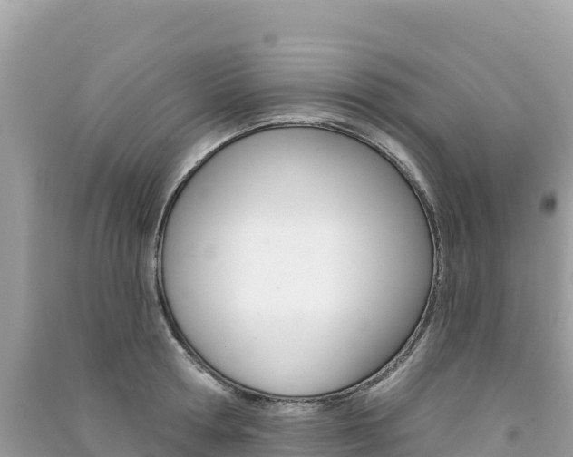 X0000091310802200708101108