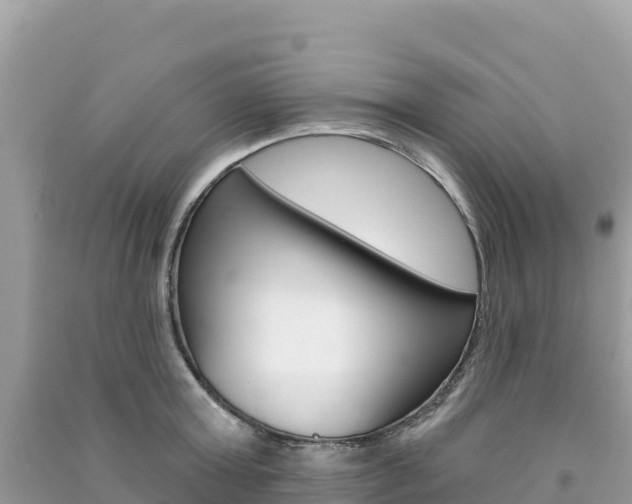 X0000091310803200708101108