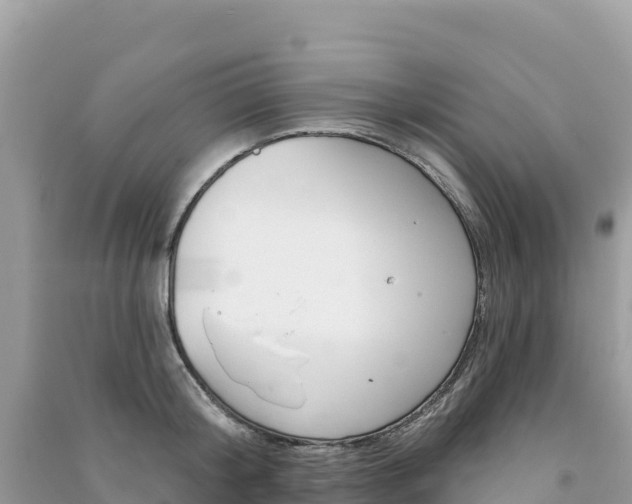 X0000091310804200708101107