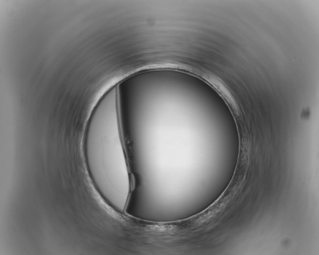 X0000091310805200708101107