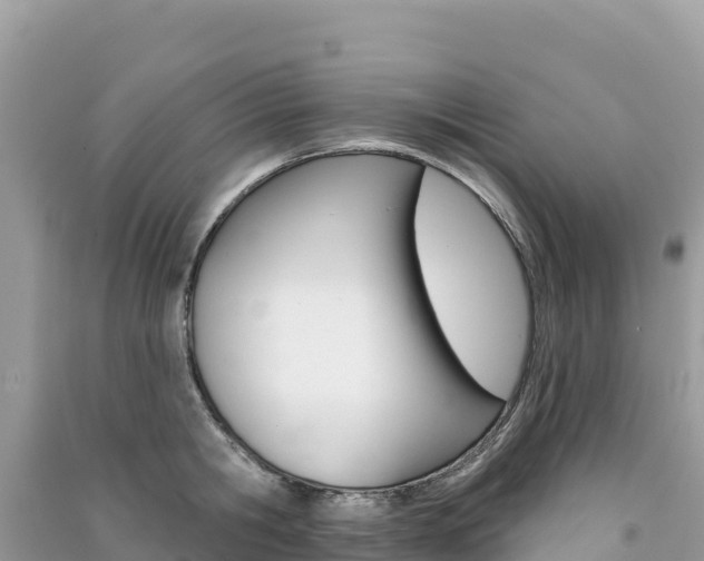 X0000091310806200708101107