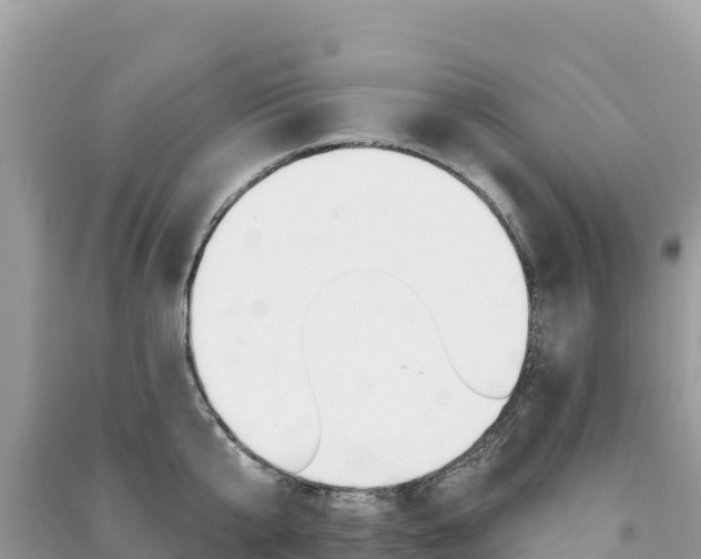 X0000091310807200708101107