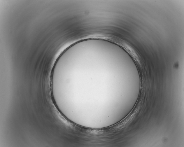 X0000091310808200708101107