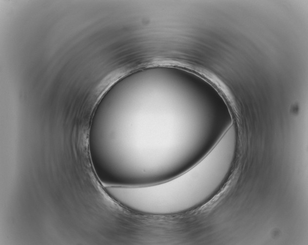 X0000091310809200708101107