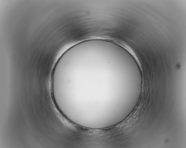 X0000091310811200708101107