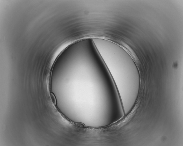 X0000091310812200708101107