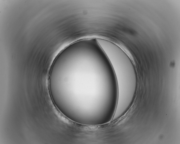 X0000091310813200708101107