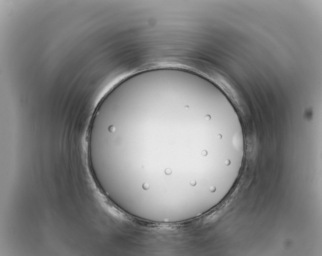 X0000091310814200708101107