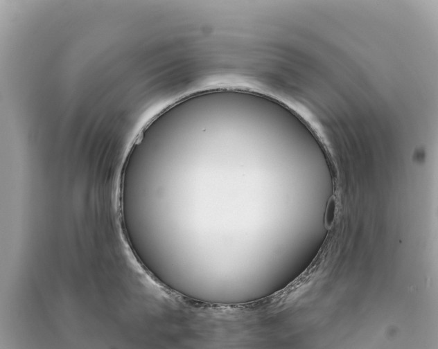 X0000091310815200708101107