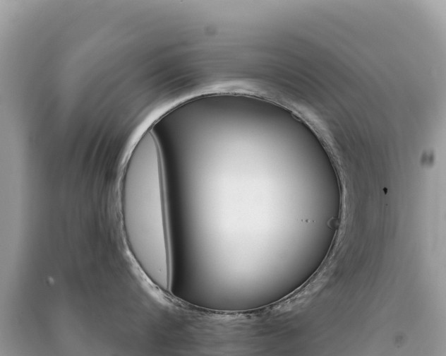 X0000091310816200708101107