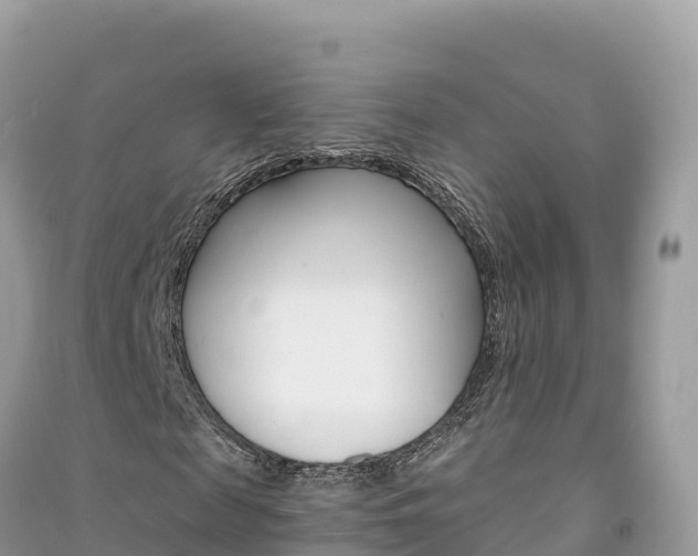 X0000091310817200708101107