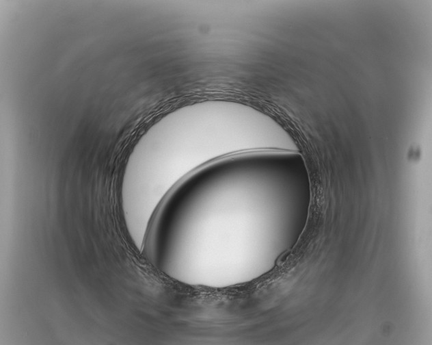 X0000091310818200708101107
