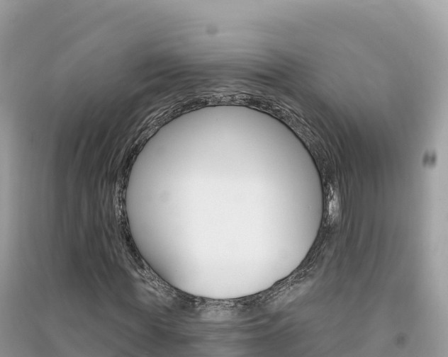 X0000091310819200708101107