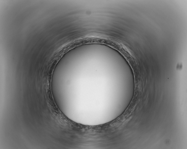 X0000091310821200708101107