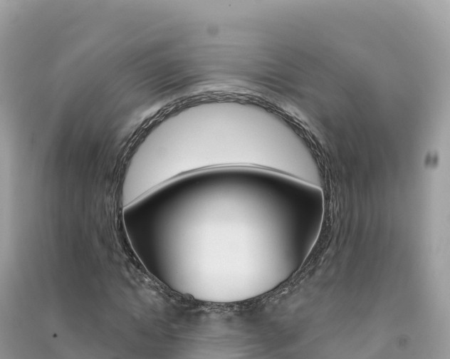 X0000091310822200708101107