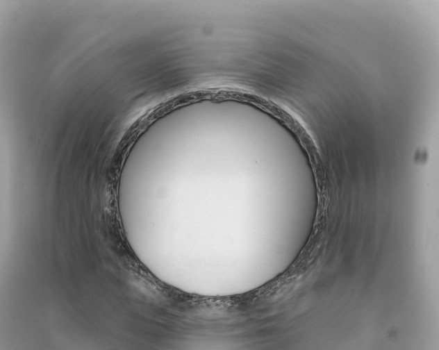 X0000091310823200708101107