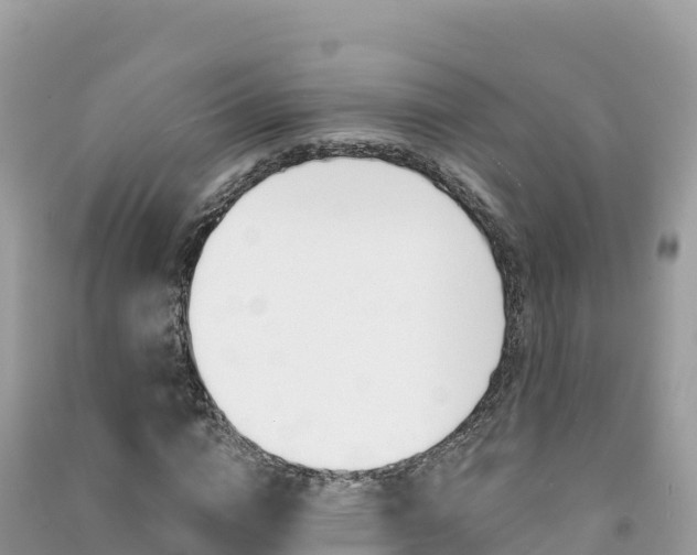 X0000091310824200708101107