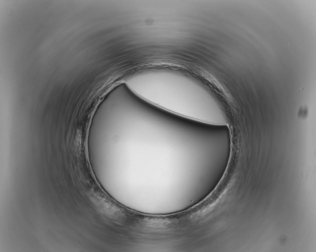 X0000091310825200708101107