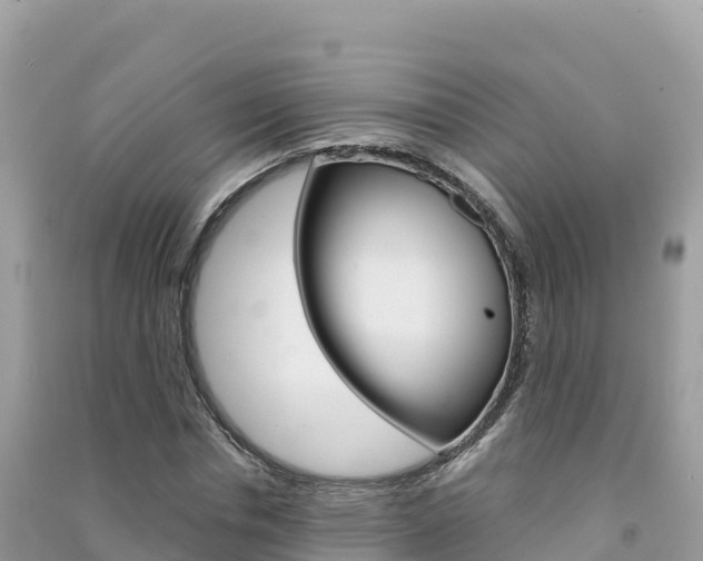 X0000091310826200708101107