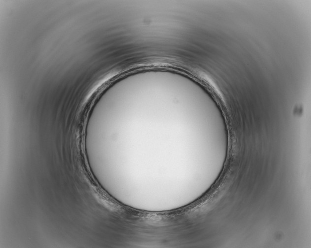 X0000091310827200708101107