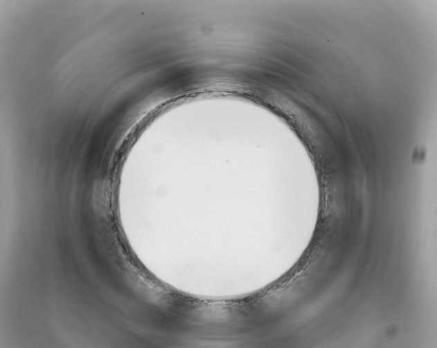 X0000091310828200708101107