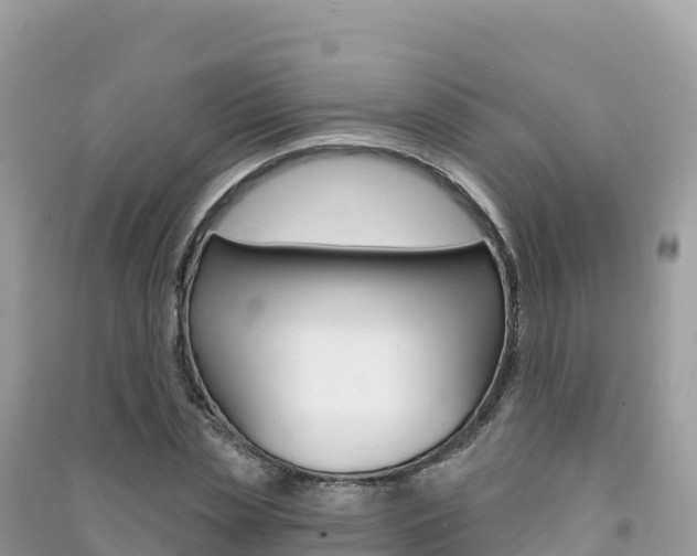 X0000091310829200708101107