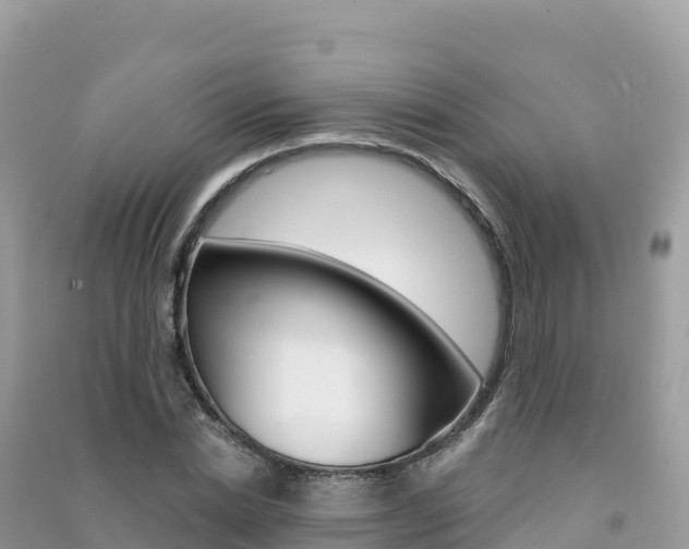 X0000091310830200708101107