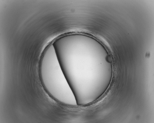 X0000091310831200708101107