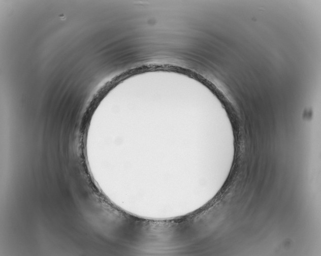 X0000091310832200708101107