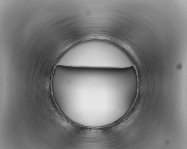 X0000091310833200708101107