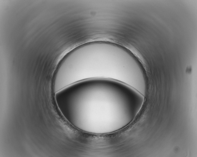 X0000091310834200708101107